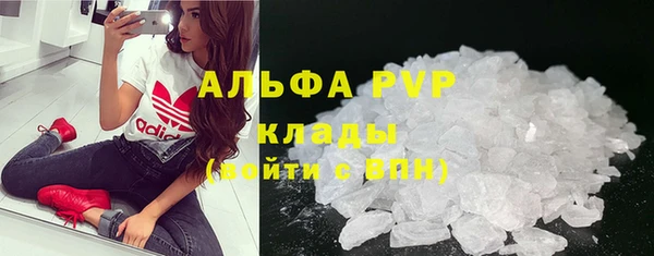 сатива Ленинск