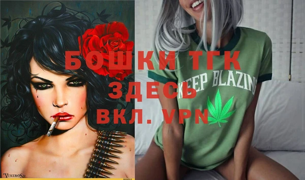 соль ск Осинники