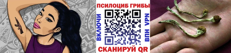 Галлюциногенные грибы Psilocybine cubensis  OMG как зайти  Среднеколымск 